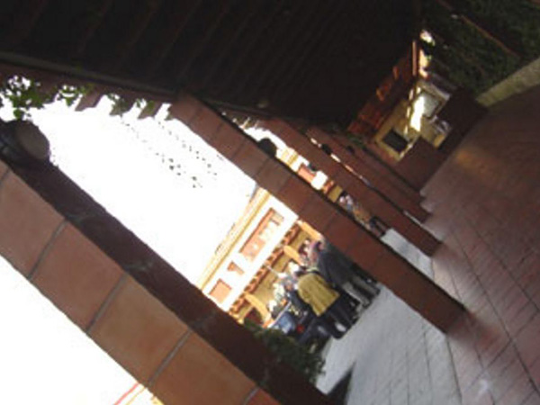 Restaurante Savannah 8