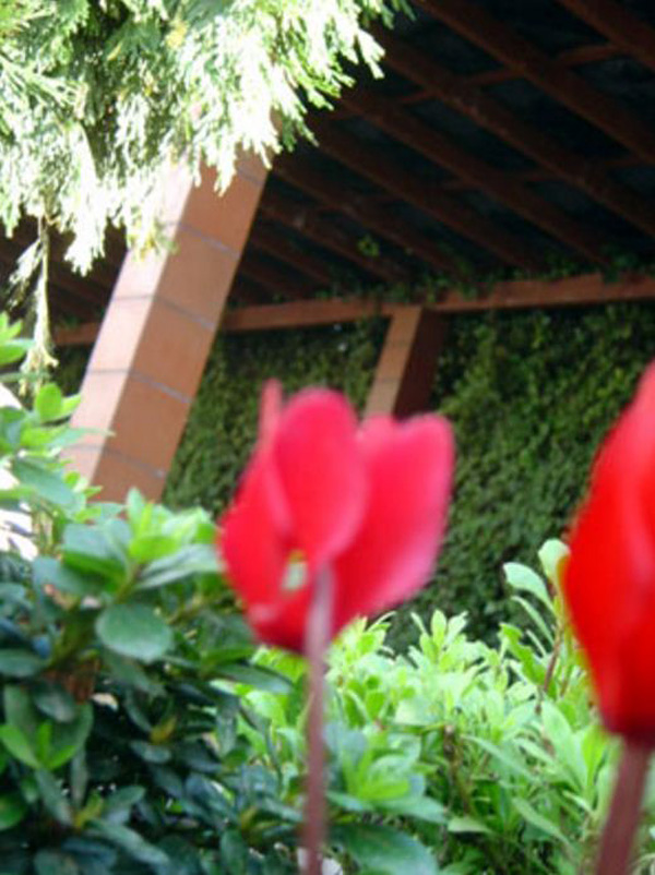 Restaurante Savannah 6