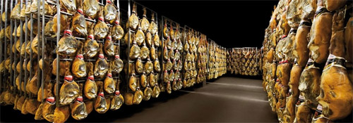 Galería de imágenes