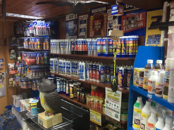 Galería de imágenes