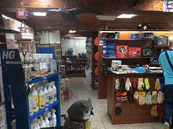 Galería de imágenes