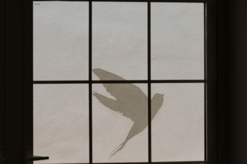 Hotel Monte Triana 6