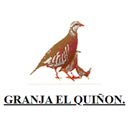 Quiñon S.A.