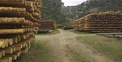 Eiforsa MADERA: TRATAMIENTOS Eiforsa MADERA: TRATAMIENTOS
