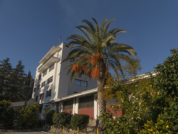 Galería de imágenes