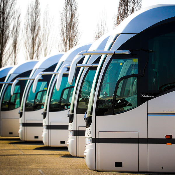 Autocares Agrupabus S.L. 8