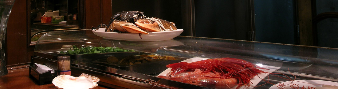 Galería de imágenes