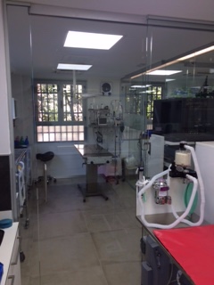 Hospital Veterinario Arturo Soria 4 Hospital Veterinario Arturo Soria 4