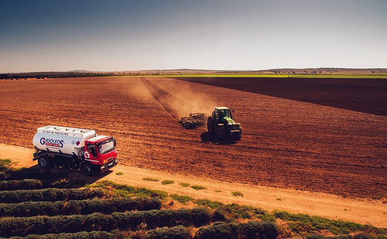 Gas&oacute;leos S&aacute;nchez y Murcia 8