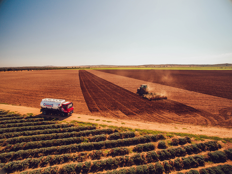 Gas&oacute;leos S&aacute;nchez y Murcia 3