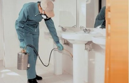 Servicios Gestindal Alacant/Alicante