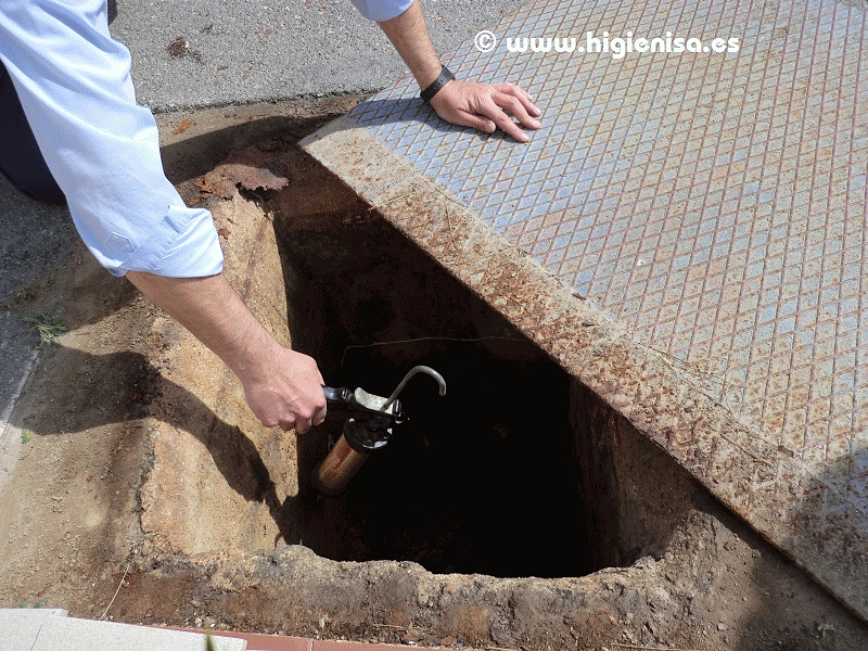 Higienisa Control De Plagas - Valencia 10