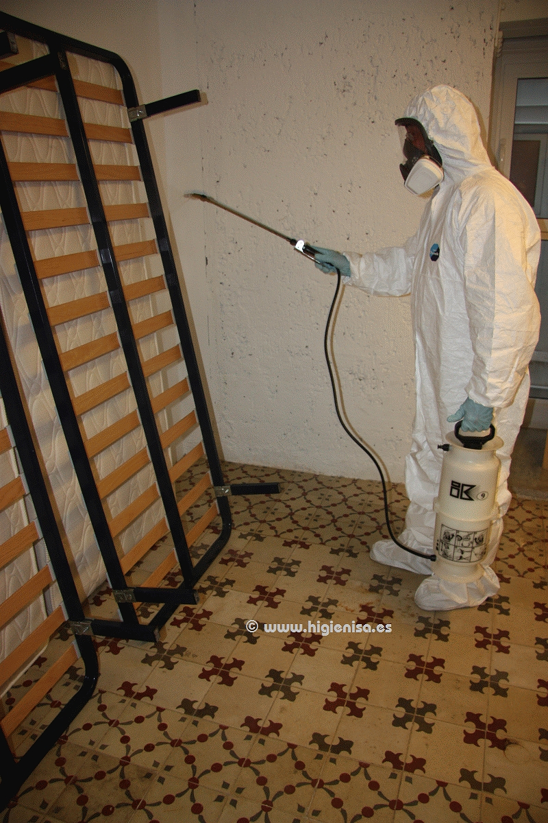 Higienisa Control De Plagas - Valencia 13