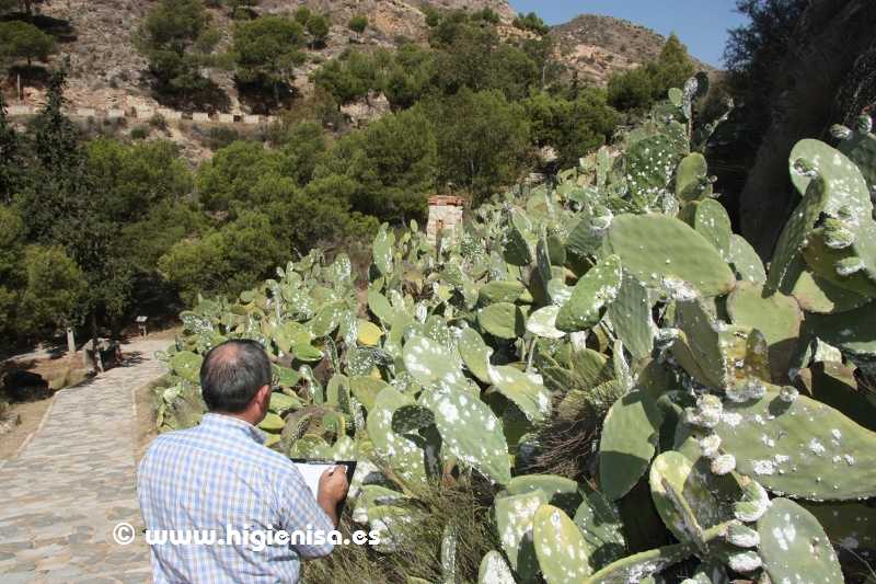 Higienisa Control De Plagas - Murcia 9