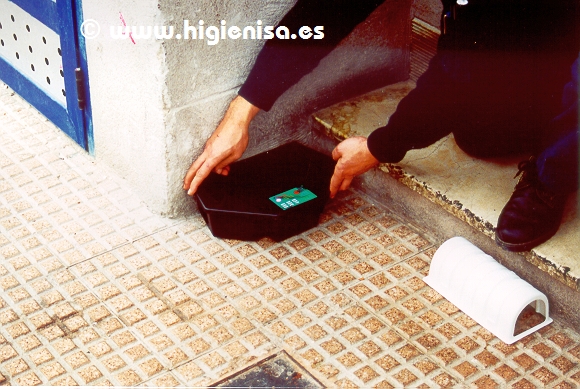 Higienisa Control De Plagas - Murcia 5