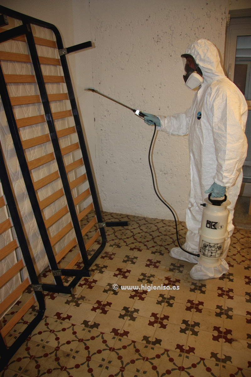 Higienisa Control De Plagas - Murcia 15