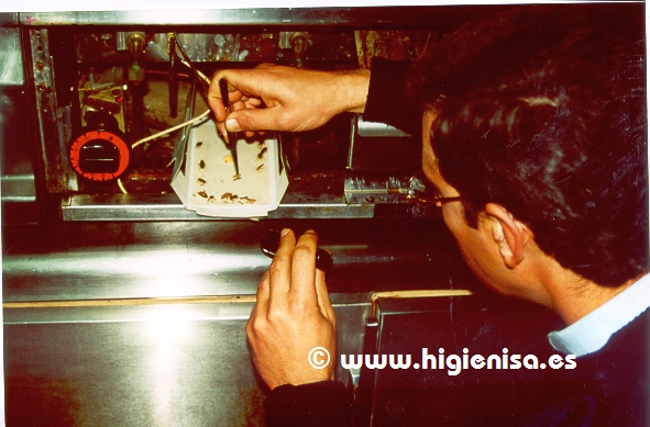 Higienisa Control De Plagas - Murcia 4