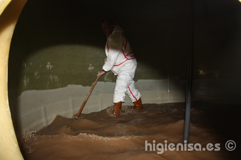 Higienisa Control De Plagas - Murcia 3