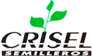 Crisel Semilleros