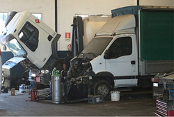 Galería de imágenes