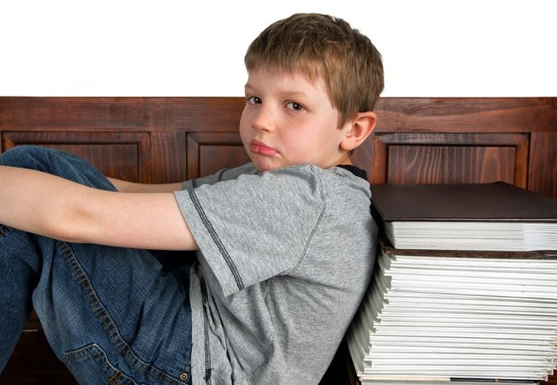 Lithos - Centro Pedag&oacute;gico 5