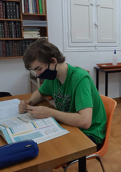 Galería de imágenes