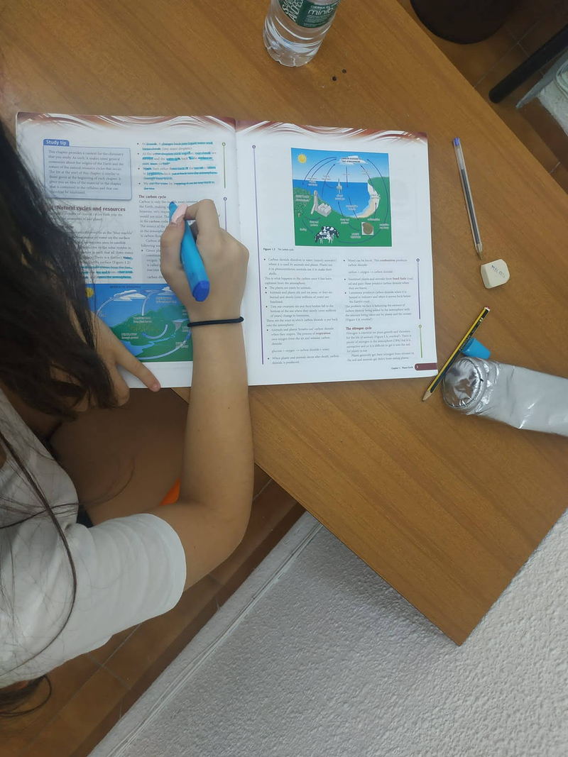 Lithos Centro Pedag&oacute;gico 13