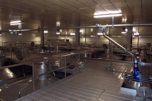 Nitram - 2 Castrillo de la Vega