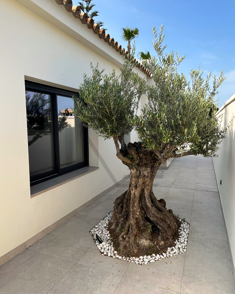 Cristalería Hermanos Vidal 38