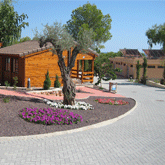 Galería de imágenes