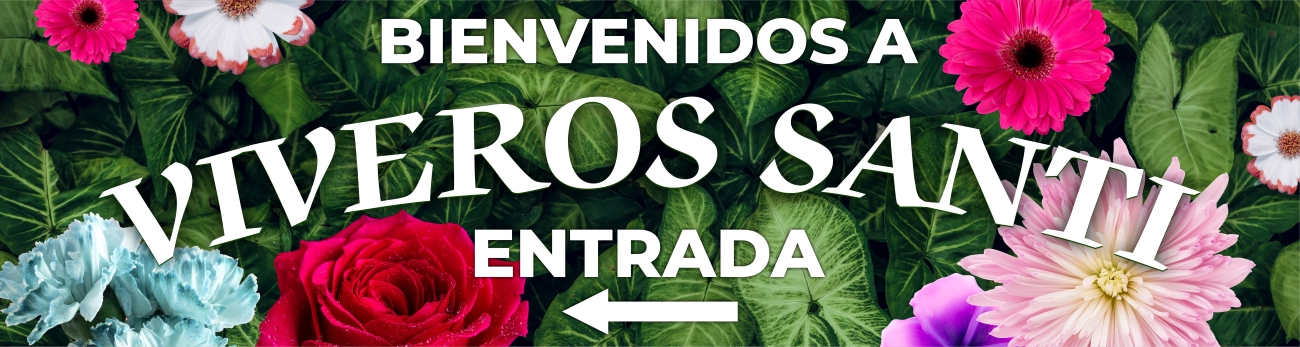 Viveros Santi