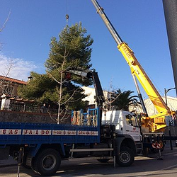 Gruas Jaldo S.l. 3 Gruas Jaldo S.l. 3