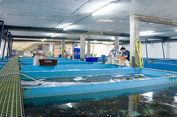 Galería de imágenes