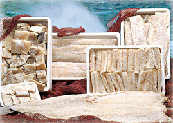 Galería de imágenes