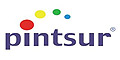 Pintsur
