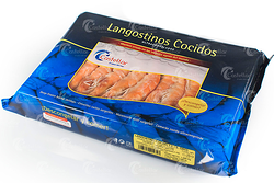 Galería de imágenes