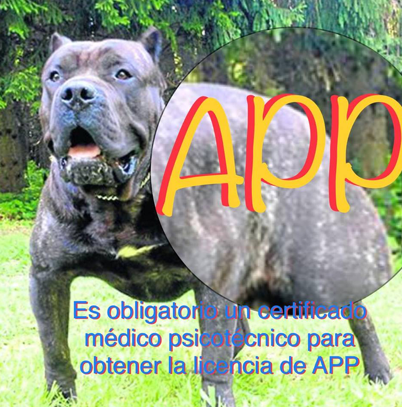 Reconocimientos M&eacute;dicos Santiago 5