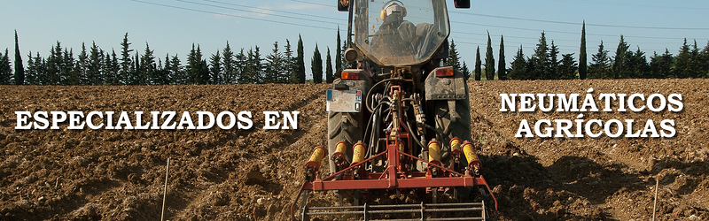 Europea De Neum&aacute;ticos 4