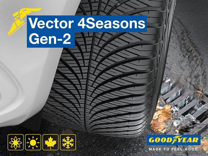 Europea De Neum&aacute;ticos 17