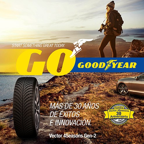 Europea De Neum&aacute;ticos 8