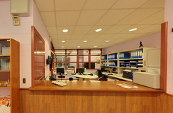 Galería de imágenes