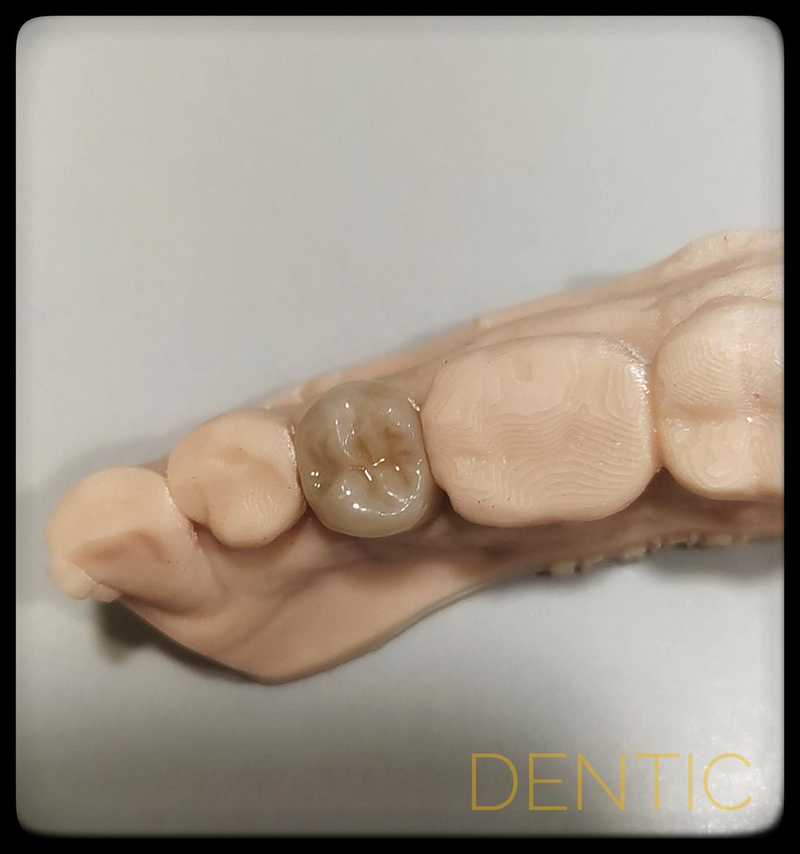 Dentic S.L. 19