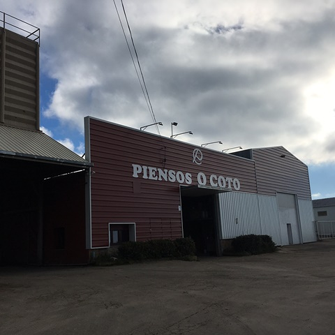 Piensos O Coto A Fonsagrada