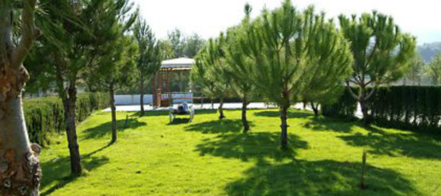 Clínica del Doctor Muñoz 17