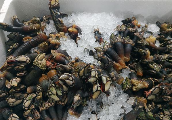 Mariscos Vidio 13