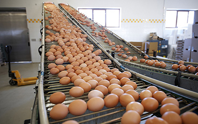 Granja La Pardilla S.L. 3