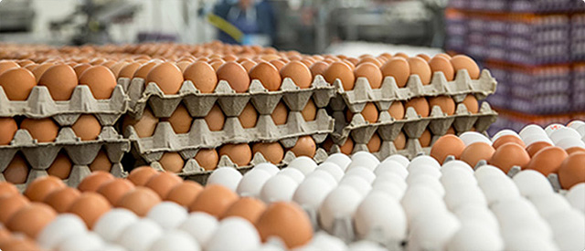 Granja La Pardilla S.L. 2