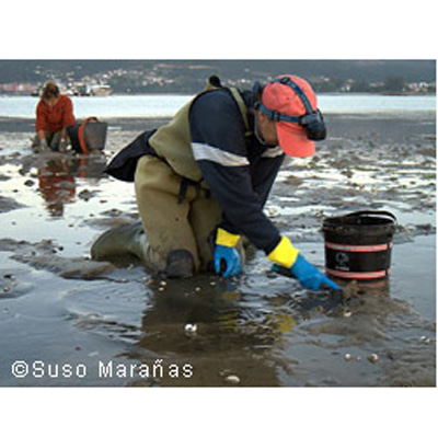 Asemar ASESORIAS DE EMPRESAS