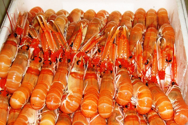 Restaurante El T&uacute;nel 6