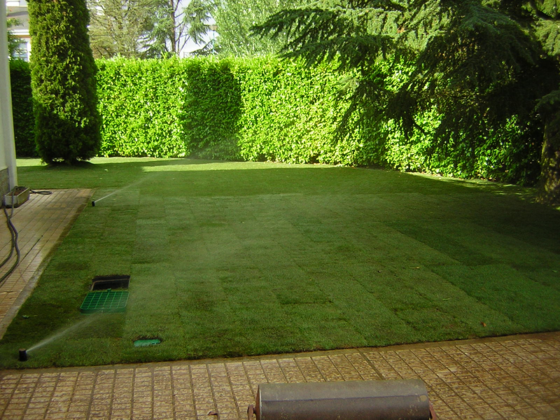 Viveros Florjusa S.L. 4